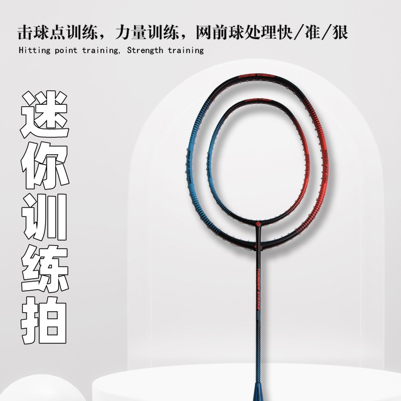 Badminton Background - 배드민턴 라켓 풀 카본 미니 트레이닝